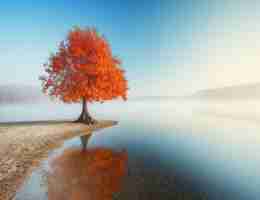 vue项​目‌常​用‌插‍件‍